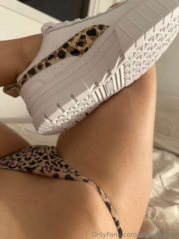 🐆🐆🐆