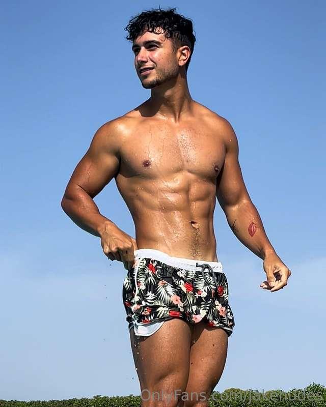 The body