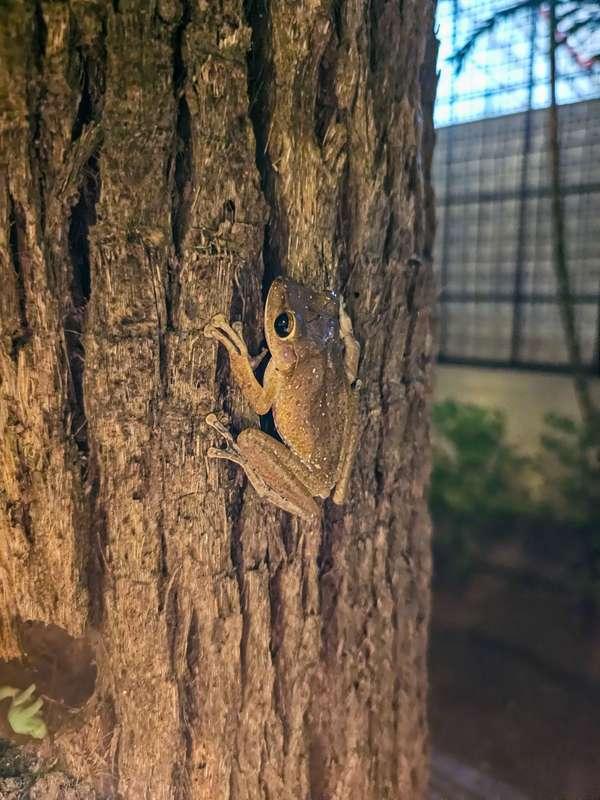Night Photos 
#nature #sky #irl #life
