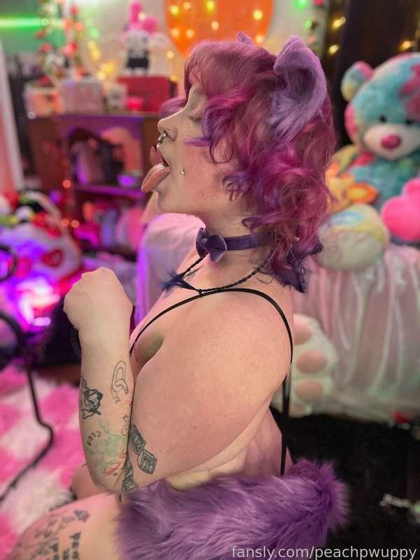 peachpwuppy image #3