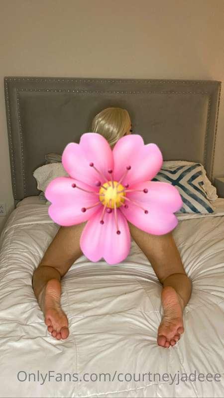 Check your messages for some Monday nudes 😉 7 pics all toget..