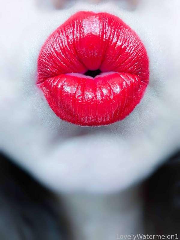 lovelywatermelon1 image #14
