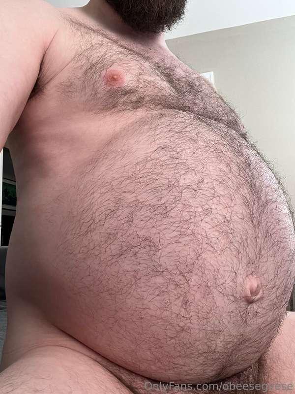 obeesegeese image #1