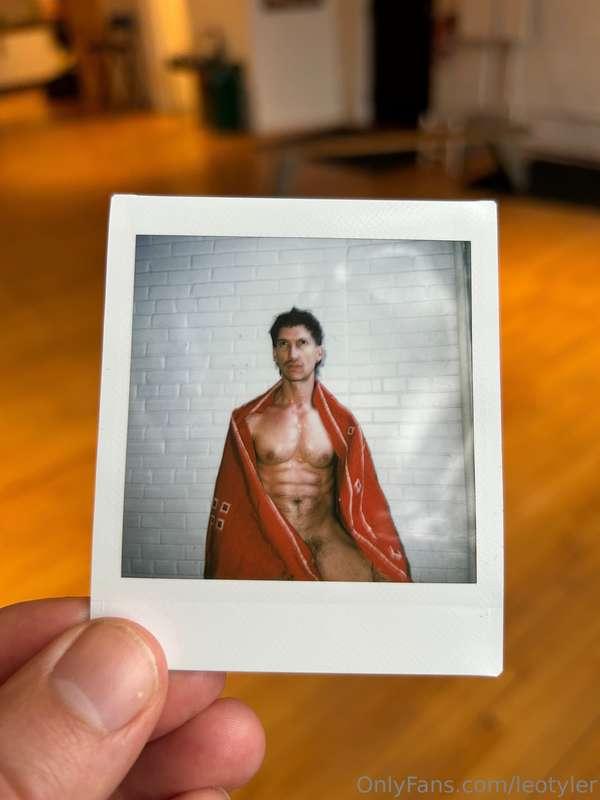 Polaroid series 