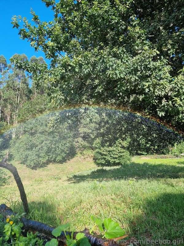 beeboo.girl image #5