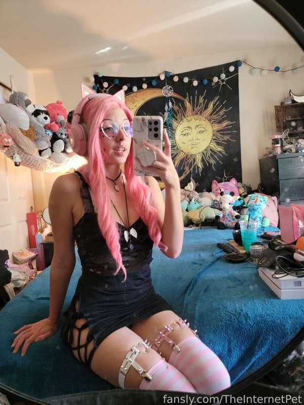 theinternetpet image #1