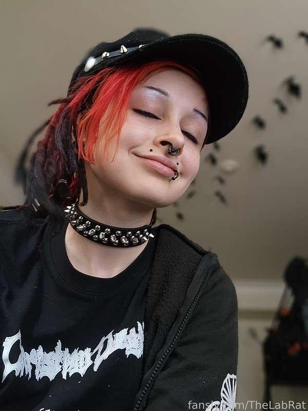 thelabrat image #1