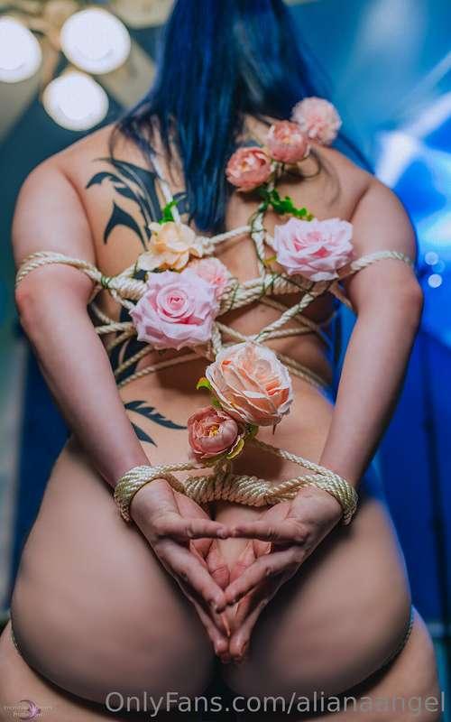 PH: Insomniac's Dream Productions
Rope Art: Canvas Envy