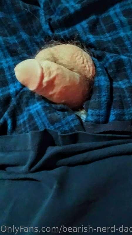 bearish-nerd-dad image #1