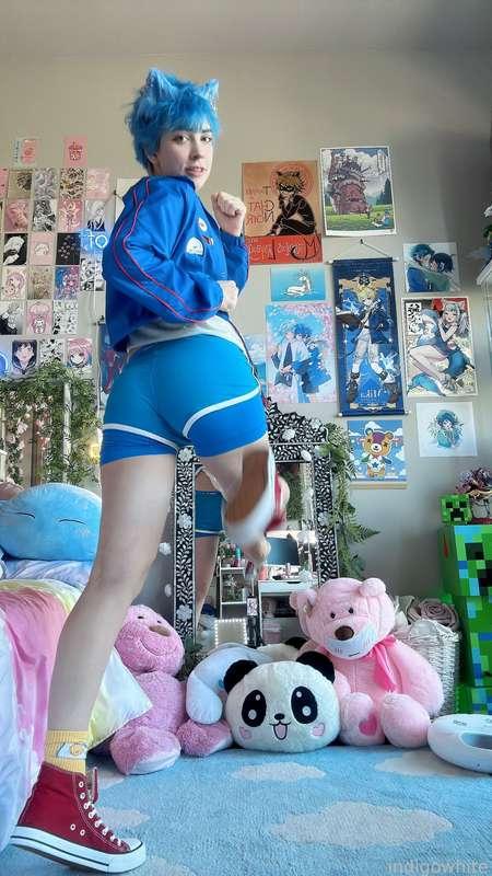 indigowhite image #287
