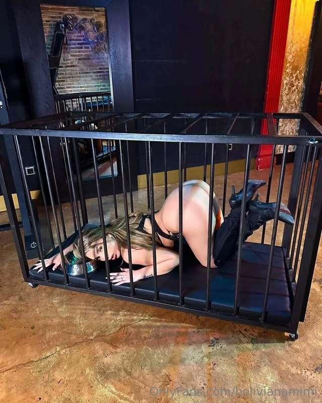 Your pet needs a treat! Tip me, Master 🫦 please!