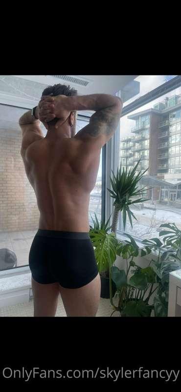 shredtacular image #0