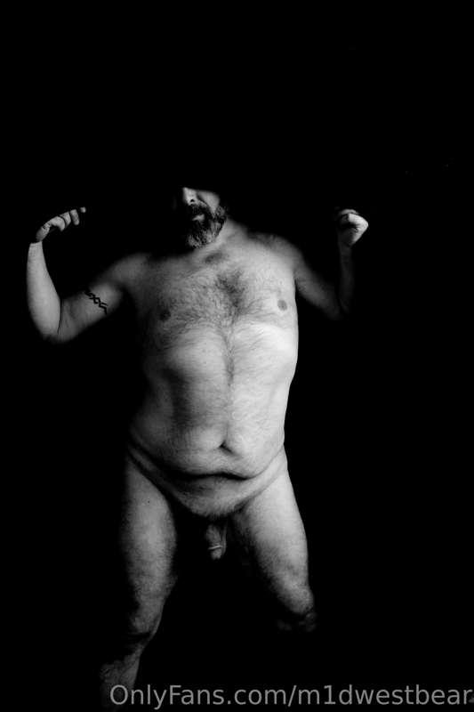 m1dwestbear image #4
