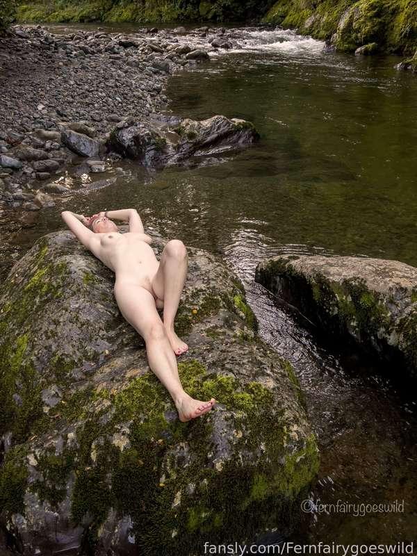 fernfairygoeswild image #0