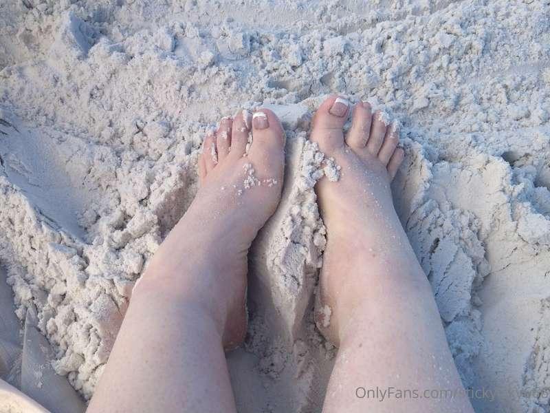 Spent the day at Venice Beach in Florida today. Had a great ..
