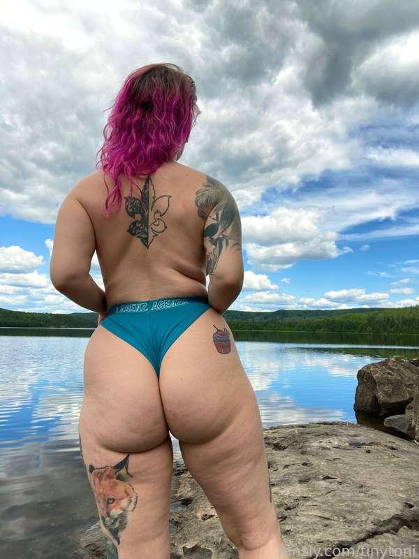tinytoni image #7