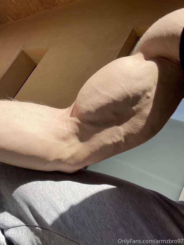armzbro97 image #0
