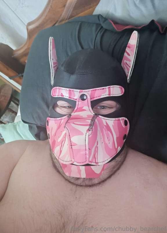 chubby_bearchef image #0