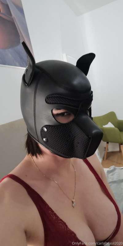 Happy Monday everyone. Bought this for my dogs but it did lo..