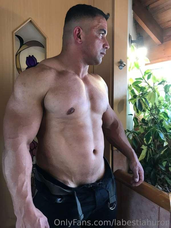 Buen día bestias.. @only--fans @onlyblackmoon @onlymansdude