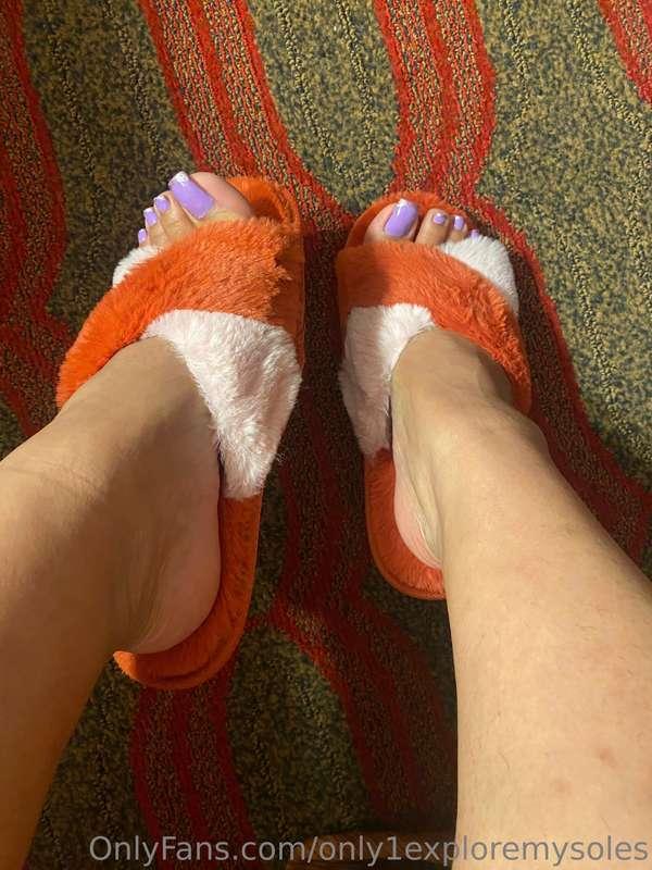 Had to bring my new house slippers 😍