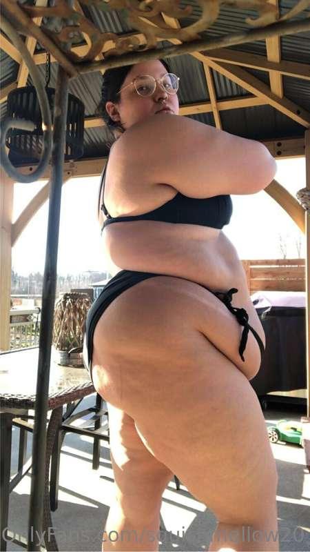 squishmellow20 image #0