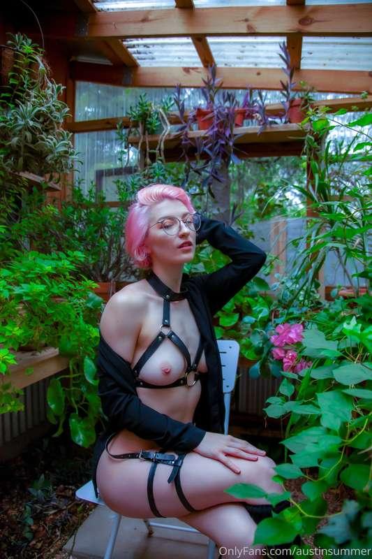 spicyelixir image #2