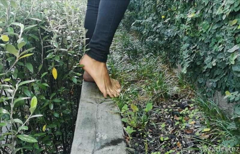 Let's go for a walk in the fairy garden