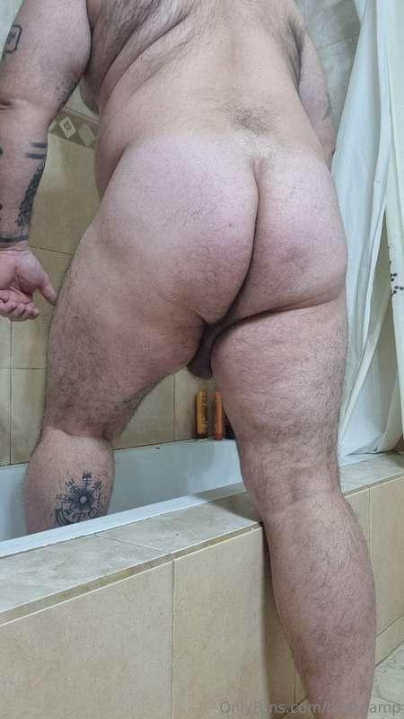 bearpamp image #0