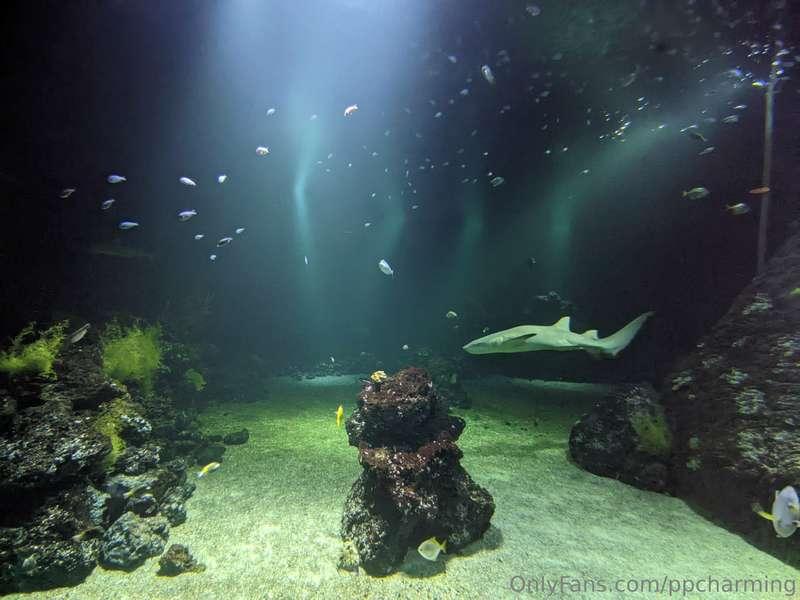 Today i was at a science "museum".🦖💻 Those who start to get ..