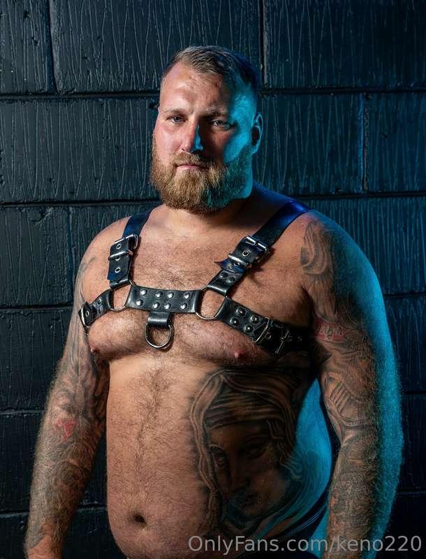 Harness & Jock pix