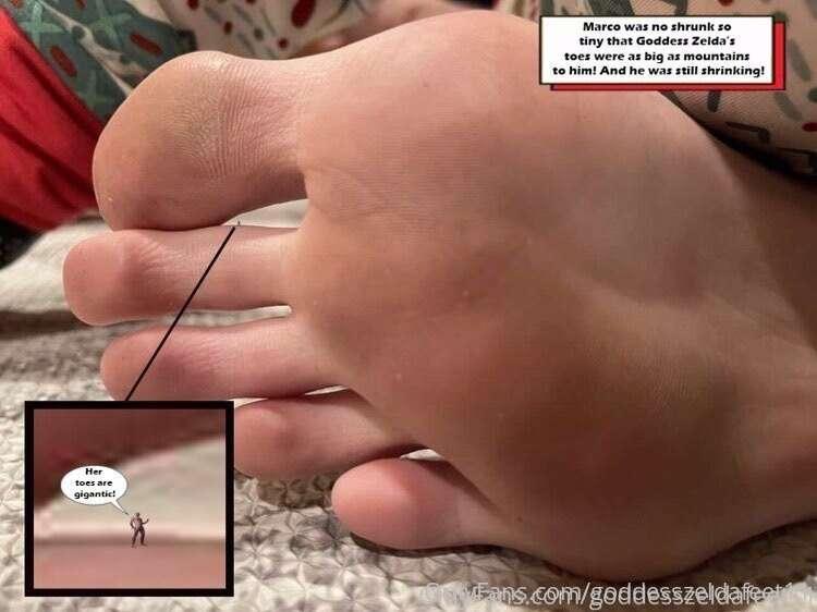 goddesszeldafeet11 image #0