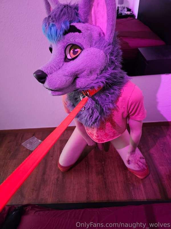 Some leash play~
Some videos too coming soon ;3