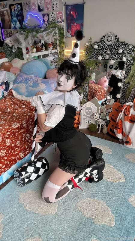 indigowhite image #77