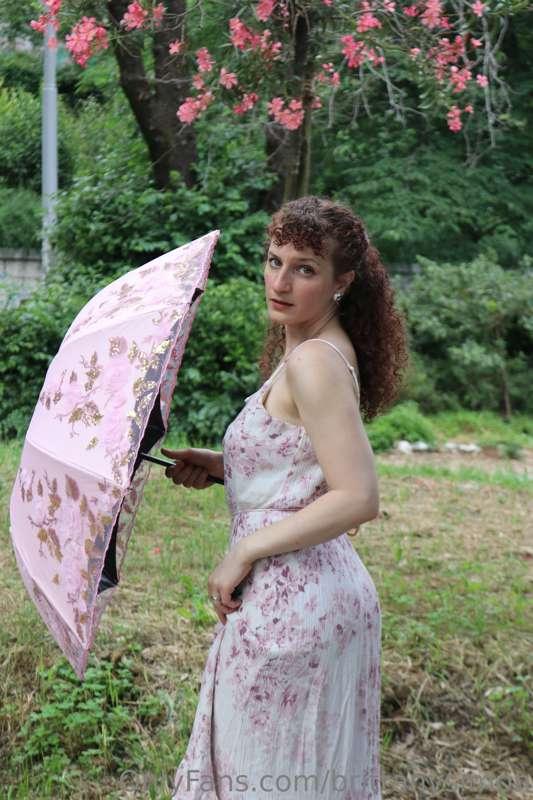 🌸🌸🌸🌸🌸🌸🌸🌸🌸🌸🌸🌸🌸🌸