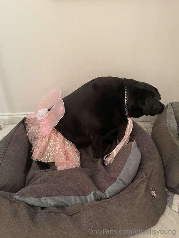 POPPY’S big day ,,, it’s her party complete with a glitter b..