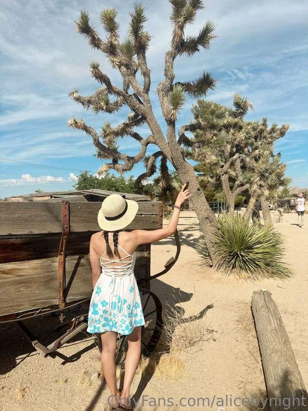 Have you ever been to a desert? I love to look at sandy, bei..