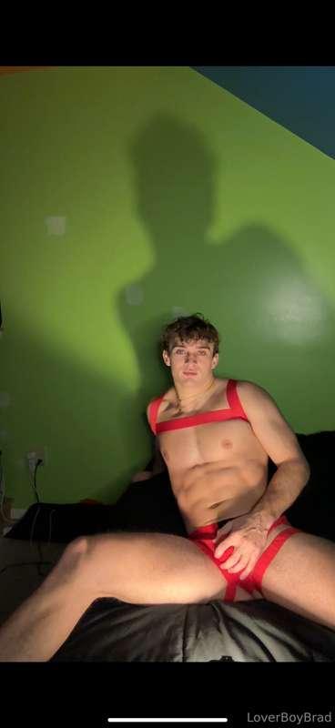 loverboybrad image #0