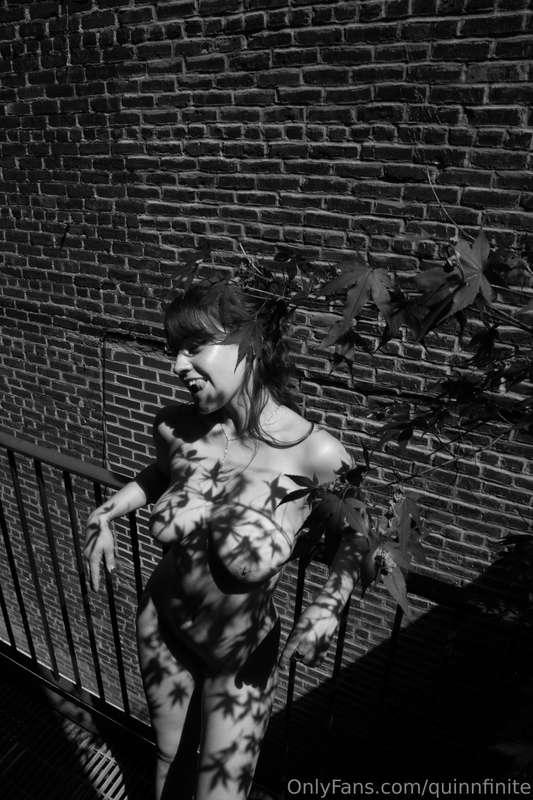 quinnfinite image #0