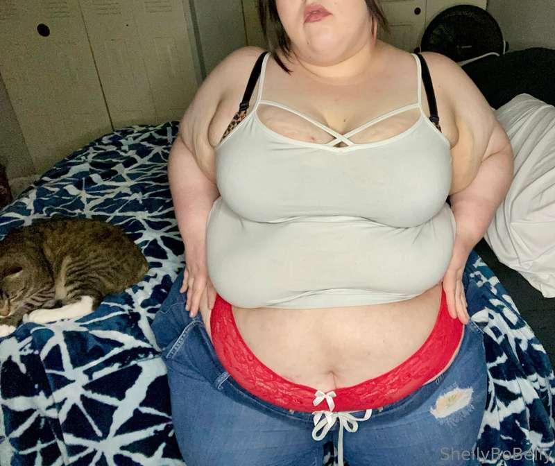 shellybobelly image #0