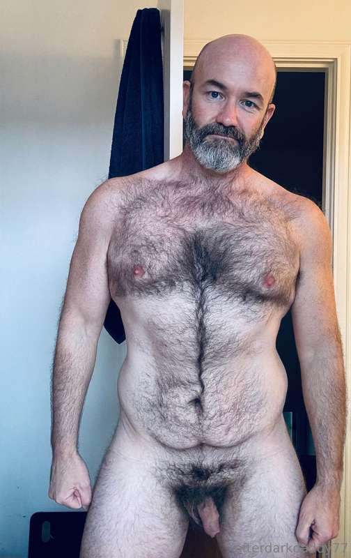 A bit of me in the evening light 🩶🩵🐺