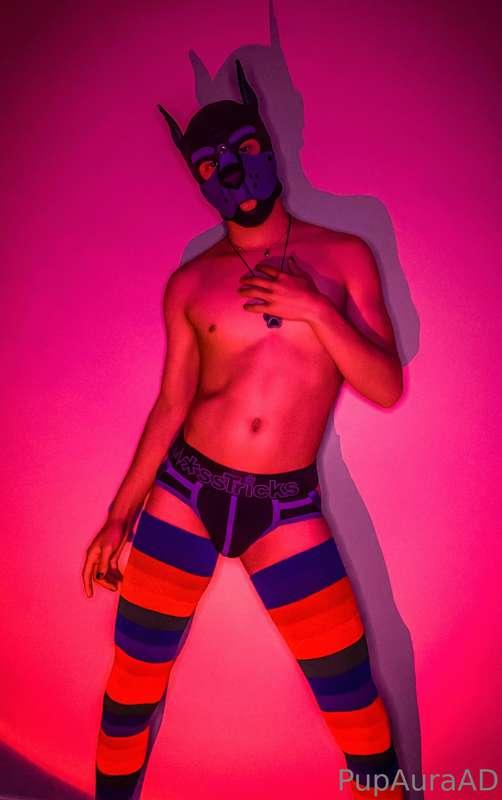 I’m a mean and scary doggy, I won’t obey! Rawr!🥺 
(Unlock to..
