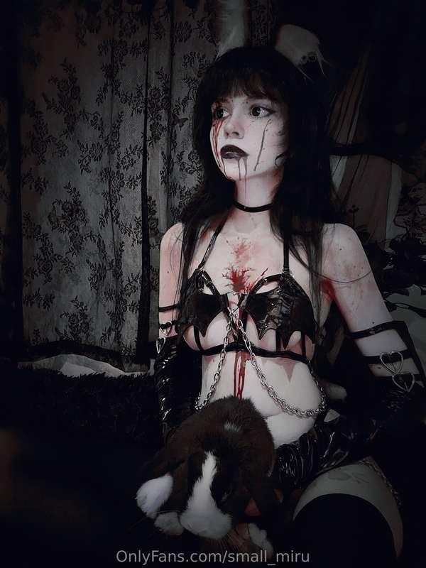 My small ball of fur cooperating 