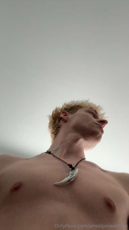anselprowerfree image #1