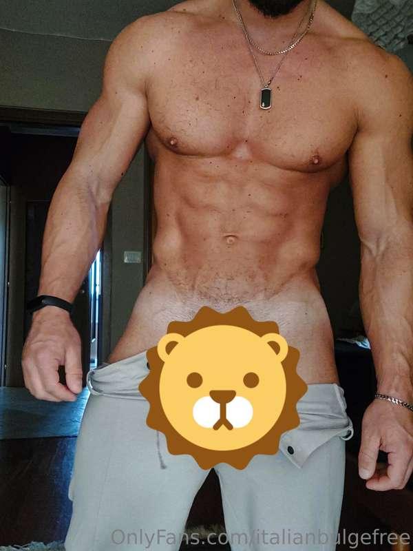 Did u see my last pic?

https://onlyfans.com/italianbulge