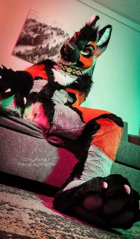 naughtywoofs image #1