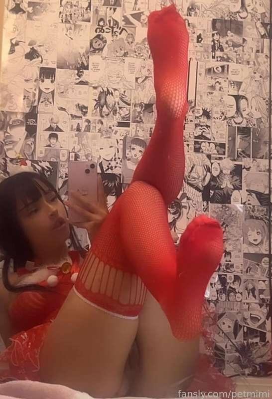 petmimi image #3