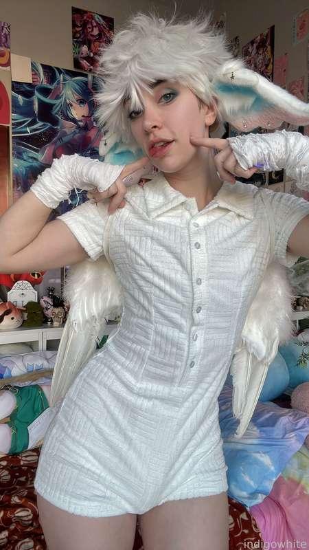 indigowhite image #244