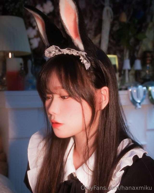 bunny 🐰🐰