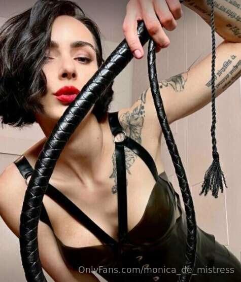 Which whip would you choose to receive your punishment with?..